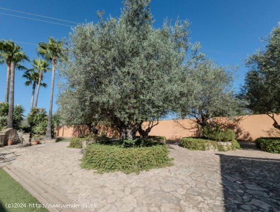 Finca en venta en Inca (Baleares)