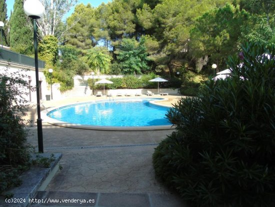  Piso en venta en Palma de Mallorca (Baleares) 