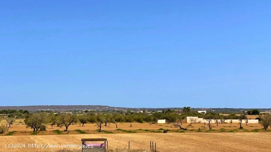 Finca en venta en Campos (Baleares)