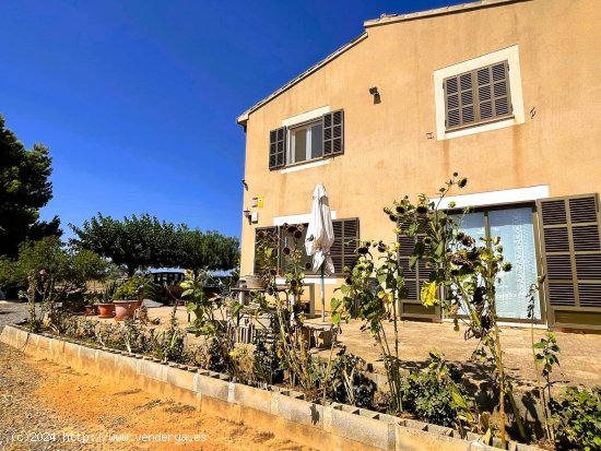 Finca en venta en Campos (Baleares)