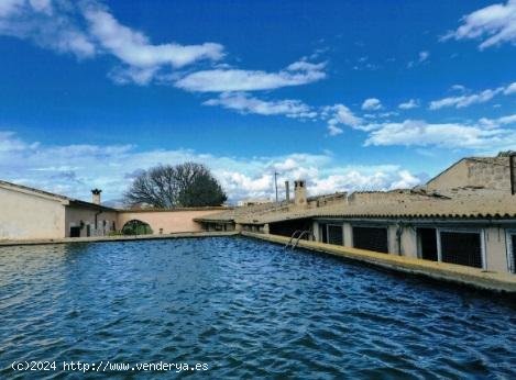 Finca en alquiler en Palma de Mallorca (Baleares)