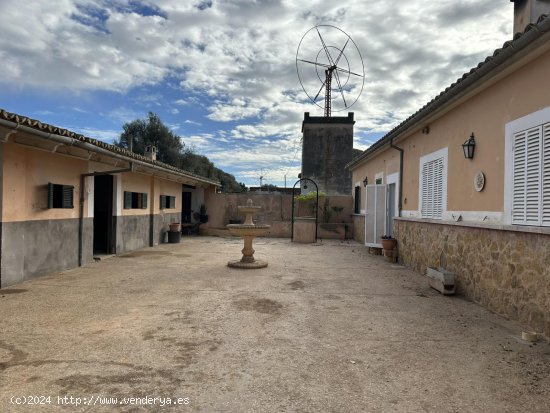 Finca en alquiler en Palma de Mallorca (Baleares)