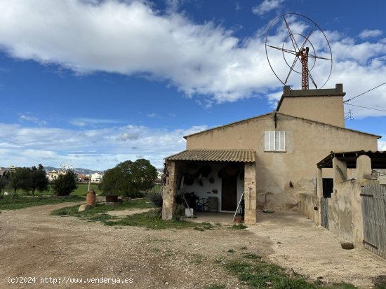 Finca en alquiler en Palma de Mallorca (Baleares)