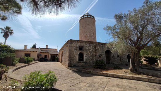 Finca en venta en Santa Margalida (Baleares)