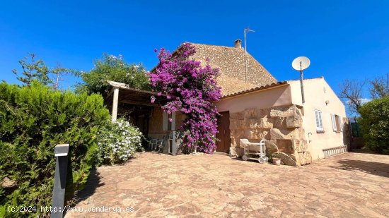 Finca en venta en Marratxí (Baleares)