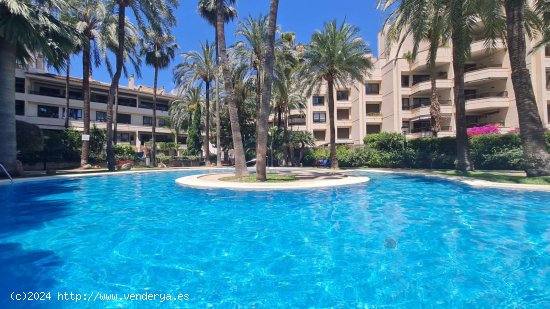 Apartamento en alquiler en Palma de Mallorca (Baleares)