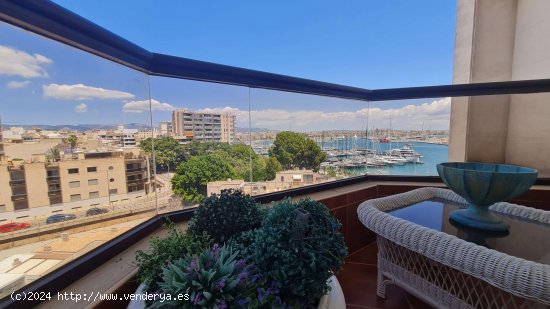 Apartamento en alquiler en Palma de Mallorca (Baleares)