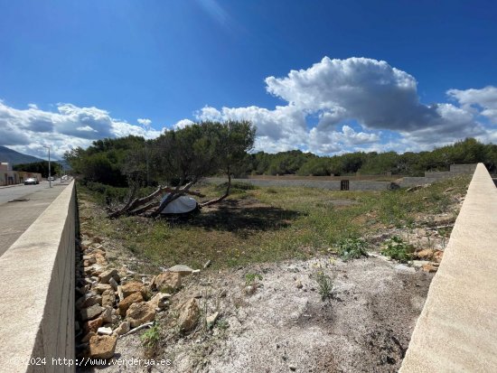  Solar en venta en Santa Margalida (Baleares) 