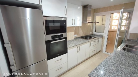 Apartamento en alquiler en Andratx (Baleares)