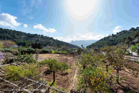 Finca en venta en Sóller (Baleares)