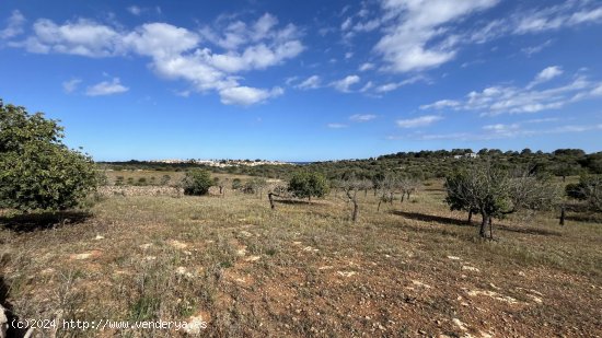 Solar en venta en Manacor (Baleares)