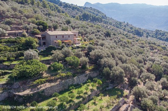  Finca en venta en Sóller (Baleares) 