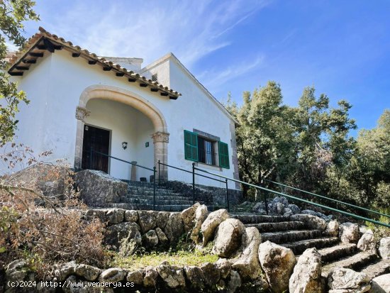 Finca en venta en Escorca (Baleares)