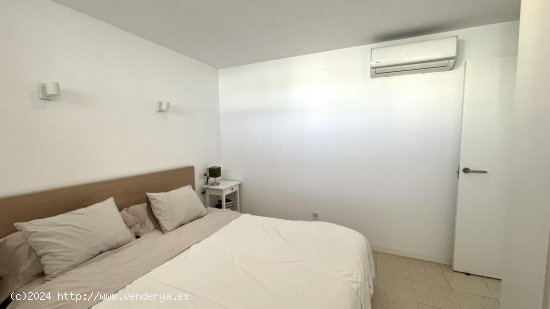 Apartamento en alquiler en Calvià (Baleares)