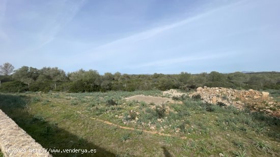 Finca en venta en Maria de la Salut (Baleares)