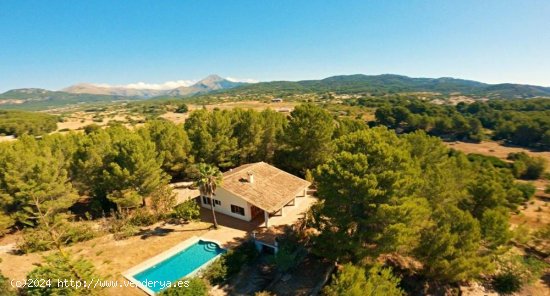  Finca en venta en Calvià (Baleares) 