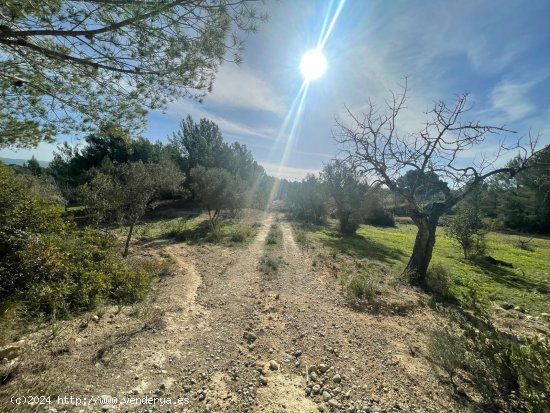 Finca en venta en Calvià (Baleares)