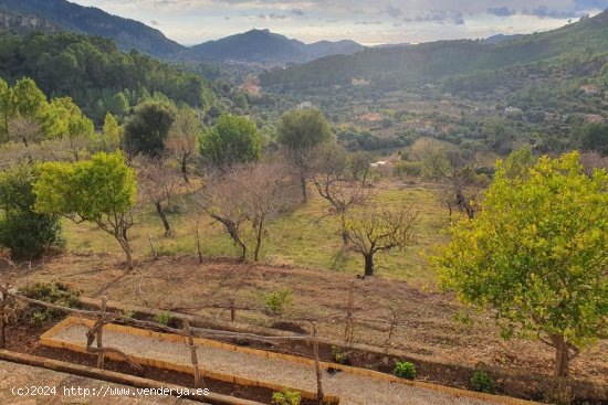 Finca en alquiler en Andratx (Baleares)