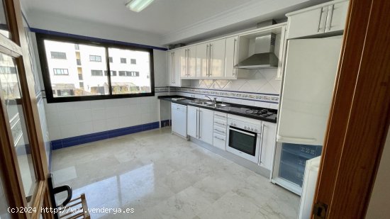 Apartamento en alquiler en Palma de Mallorca (Baleares)