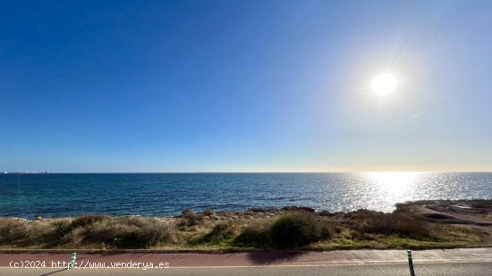 Villa en alquiler en Campos (Baleares)