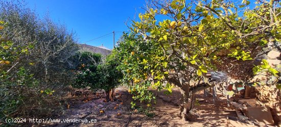 Solar en venta en Santanyí (Baleares)