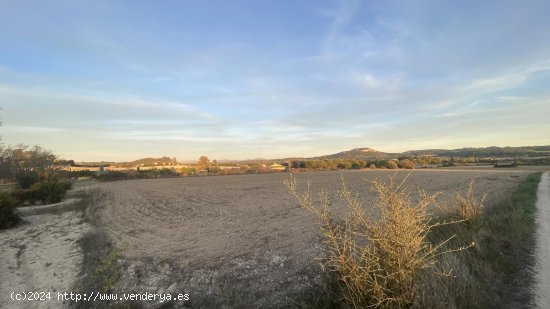  Solar en venta en Sineu (Baleares) 