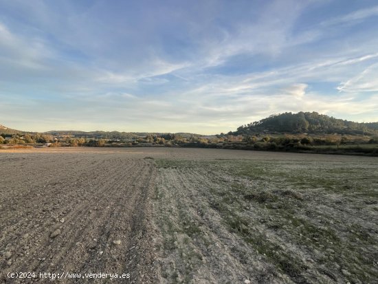 Solar en venta en Sineu (Baleares)