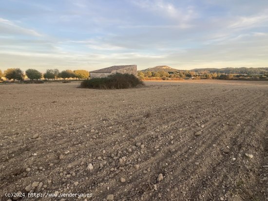 Solar en venta en Sineu (Baleares)