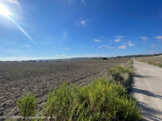 Solar en venta en Maria de la Salut (Baleares)