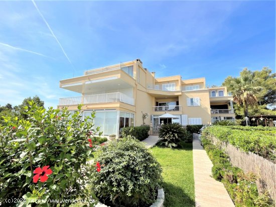  Apartamento en venta en Pollença (Baleares) 