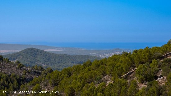 Finca en venta en Calvià (Baleares)