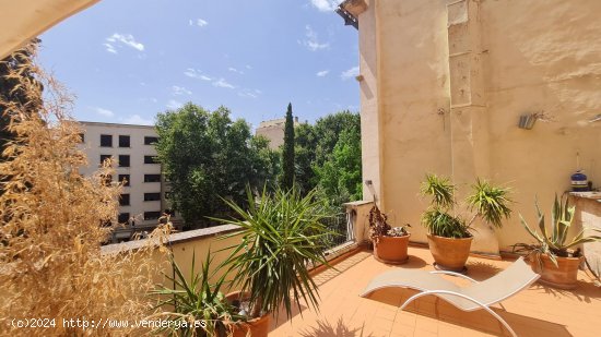  Apartamento en alquiler en Palma de Mallorca (Baleares) 