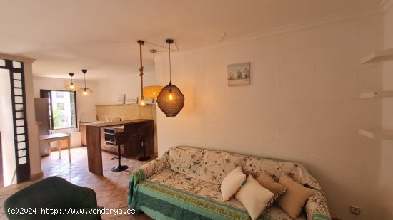 Apartamento en alquiler en Palma de Mallorca (Baleares)