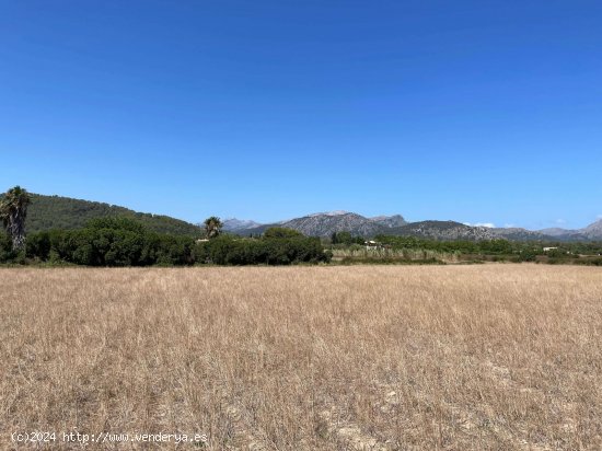 Solar en venta en Alcúdia (Baleares)