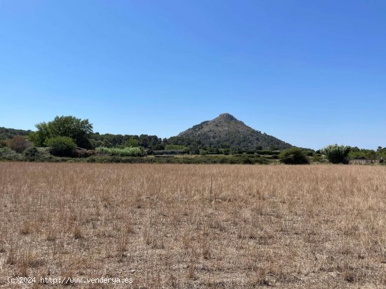 Solar en venta en Alcúdia (Baleares)