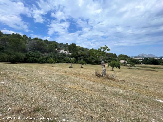 Solar en venta en Pollença (Baleares)