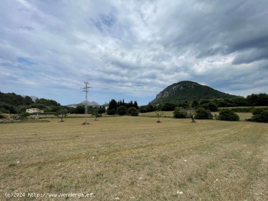 Solar en venta en Pollença (Baleares)