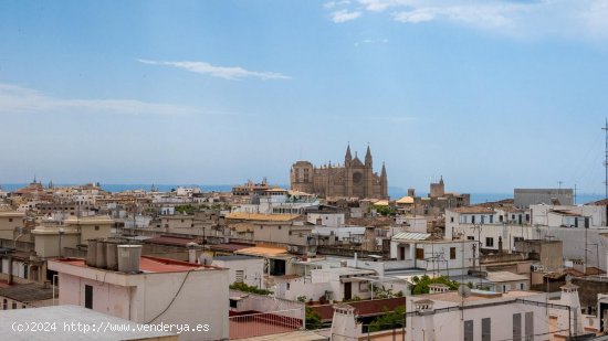 Apartamento en venta en Palma de Mallorca (Baleares)