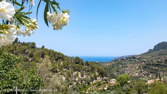 Finca en venta en Deyá (Baleares)