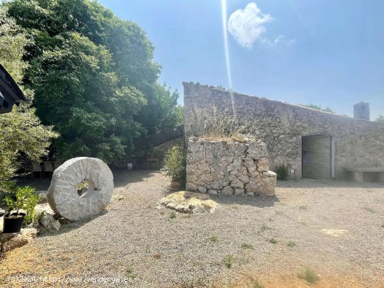 Solar en venta en Pollença (Baleares)