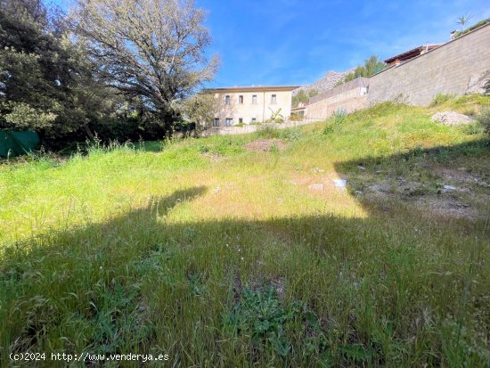 Solar en venta en Pollença (Baleares)