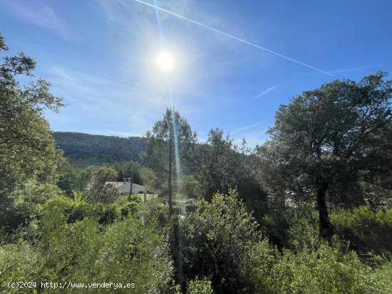  Solar en venta en Sa Pobla (Baleares) 