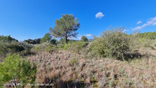 Solar en venta en Sa Pobla (Baleares)