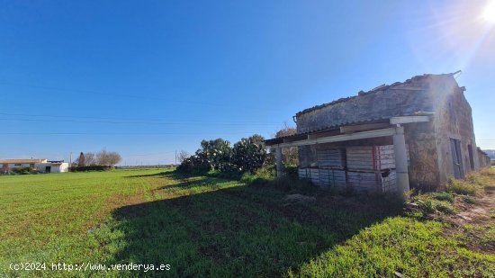 Solar en venta en Sa Pobla (Baleares)