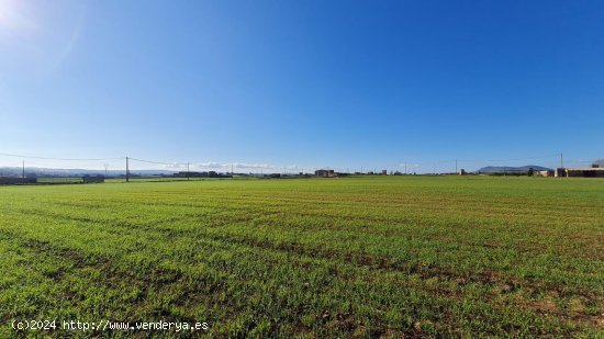 Solar en venta en Sa Pobla (Baleares)