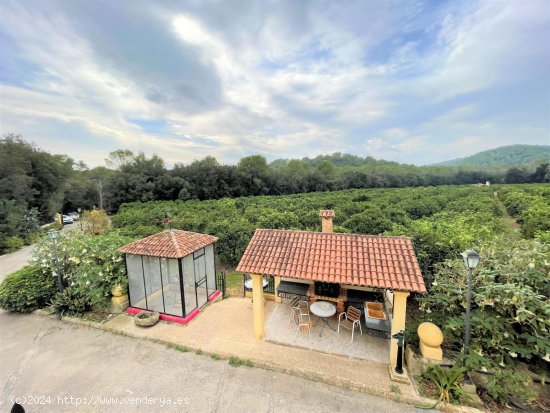 Finca en venta en Sa Pobla (Baleares)