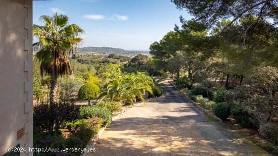 Finca en venta en Porreres (Baleares)