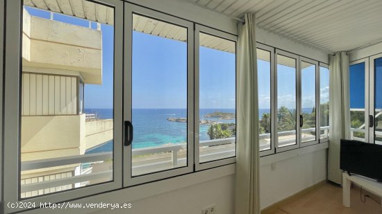 Apartamento en alquiler en Calvià (Baleares)