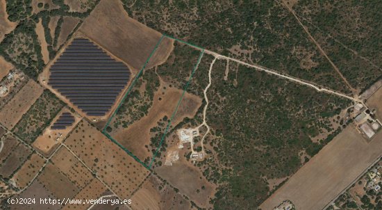 Solar en venta en Santanyí (Baleares)