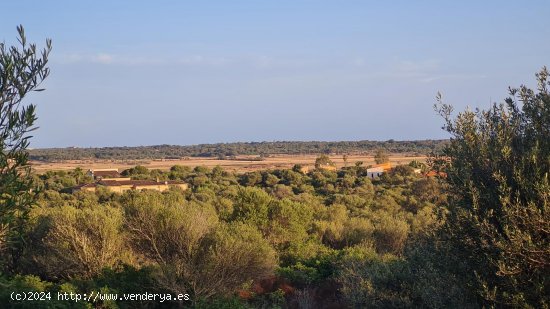  Solar en venta en Santanyí (Baleares) 